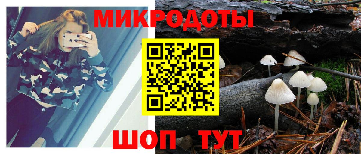 Псилоцибиновые грибы мицелий  Вход с VPN  Полысаево 